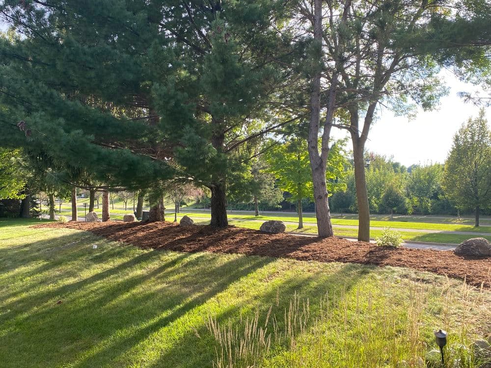 About FYI Landscaping